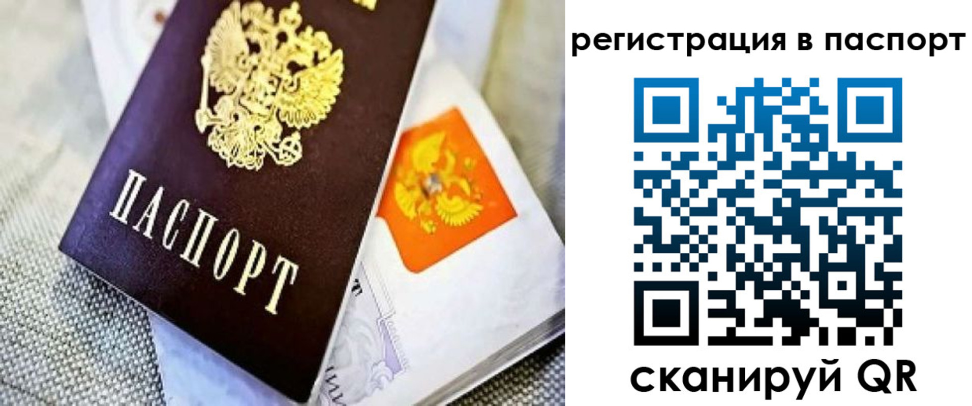 временная регистрация в Михайловке